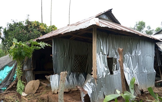 image-here
